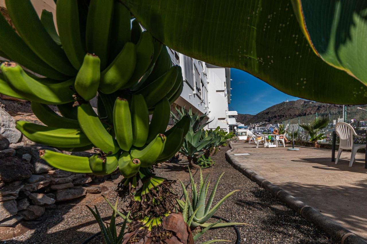 Puerto Rico Corner Apartment Exterior photo